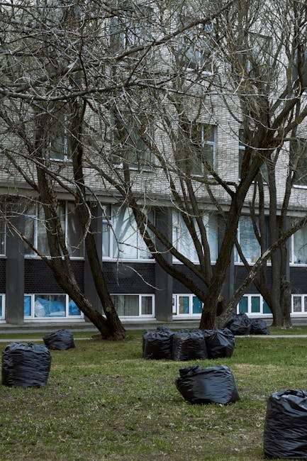 A large pile of black rubbish bags, some torn open, stacked against a beige building wall near a red metal door covered with graffiti. The bags vary in size and are placed on a pavement area, with additional debris including flattened cardboard boxes and a hospital-style rail. The door has several signs, one indicating 'No Money' and another with a blue 'Keep clear' notice, all partially obscured by the rubbish. The scene suggests an instance of waste accumulation awaiting collection, possibly related to an independent or private rubbish removal service such as Waste Removal Kentish Town, illustrating typical on-site clearance for domestic or commercial waste disposal outside standard council collection areas.