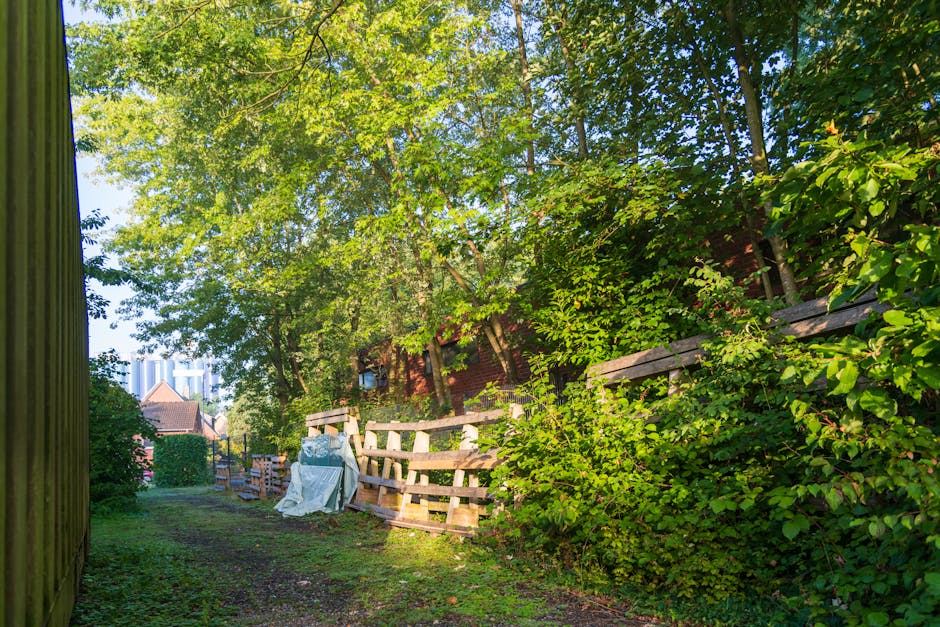A narrow alleyway or side passage in a residential area, bordered on the left by a tall wooden fence with vertical planks, partially visible in the foreground. On the right side, a dense green hedge with glossy, broad leaves extends along the length of the path, partially obscuring a red brick building with small windows amidst the foliage. The ground is uneven, composed of dirt and patches of grass, with some small debris scattered along the pathway. Further along, a simple wooden pallet with weathered, light-colored planks is propped up against the hedge, and nearby, an additional pile of wooden boards and a white plastic sheet are visible. In the background, mature deciduous trees with lush green leaves form a canopy overhead, allowing dappled sunlight to filter through, illuminating the scene with natural light. In the distance, the outline of modern high-rise buildings is faintly visible beyond the trees, suggesting an urban environment. The scene reflects a typical backyard or side yard area where waste or discarded materials might be temporarily stored before collection or disposal, relevant to private waste handling services offered by Waste Removal Kentish Town.